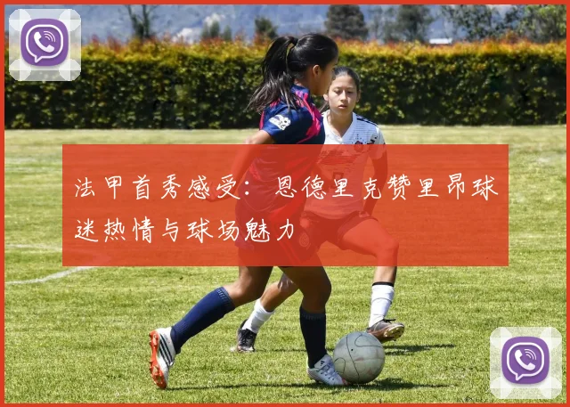 法甲首秀感受：恩德里克赞里昂球迷热情与球场魅力