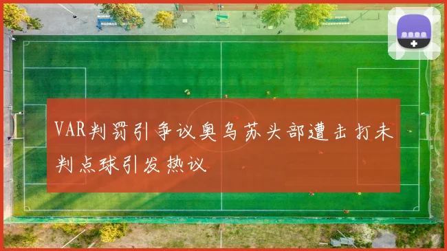VAR判罚引争议奥乌苏头部遭击打未判点球引发热议